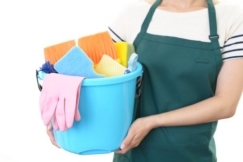 Professional carpet cleaning service terms document