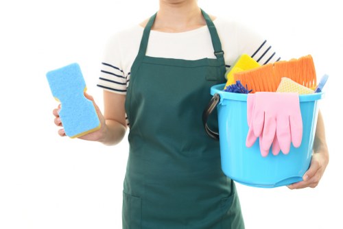 Illustration representing accessible Carpetcleaning SW7 service information