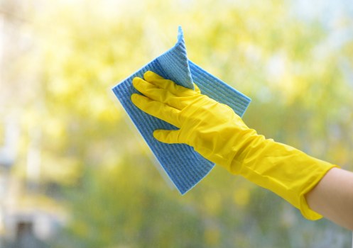Professional carpet cleaning in SW7 focused on detailed fabric care