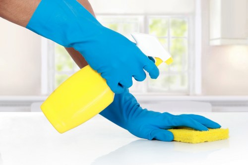 Professional carpet cleaning pricing for a SW7 home interior