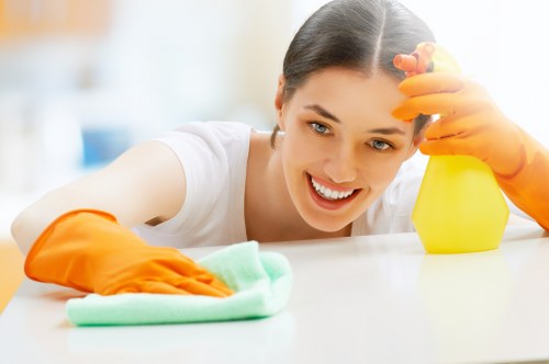 Professional cleaning company working in a SW7 home