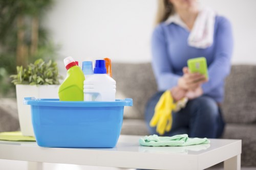 Deep domestic cleaning in SW7 for bathrooms and detailed upkeep