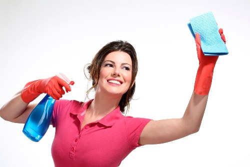 Carpet cleaner inspecting a room before treatment begins