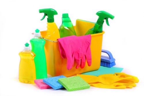 Experienced cleaner in SW7 performing a detailed interior clean
